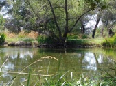 Enlarge photo 39