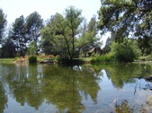 Enlarge photo 41