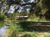 Enlarge photo 42