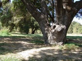 Enlarge photo 43