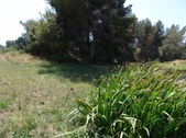 Enlarge photo 44