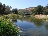 Enlarge photo 45
