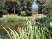 Enlarge photo 47