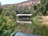 Enlarge photo 48
