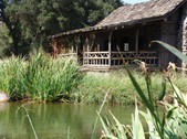 Enlarge photo 49