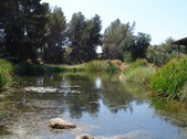 Enlarge photo 50