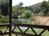 Enlarge photo 54