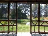 Enlarge photo 55