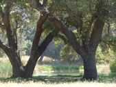 Enlarge photo 56
