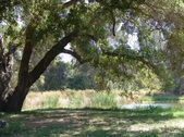 Enlarge photo 57