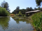 Enlarge photo 58