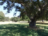 Enlarge photo 59