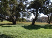 Enlarge photo 61