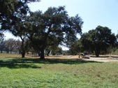 Enlarge photo 62