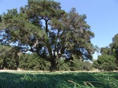 Enlarge photo 63