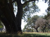 Enlarge photo 65