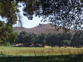Enlarge photo 66