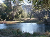 Enlarge photo 67