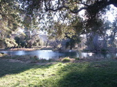 Enlarge photo 68