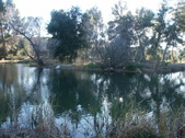Enlarge photo 70