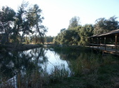 Enlarge photo 71