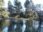 Enlarge photo 73