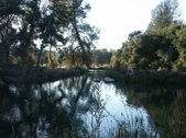 Enlarge photo 74