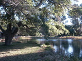 Enlarge photo 76