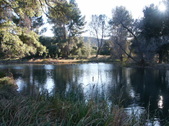 Enlarge photo 75