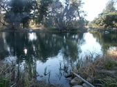 Enlarge photo 77