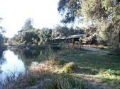 Enlarge photo 78