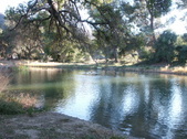 Enlarge photo 80