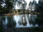 Enlarge photo 81