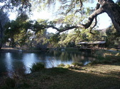 Enlarge photo 82