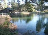 Enlarge photo 83