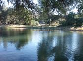 Enlarge photo 84