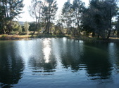 Enlarge photo 85