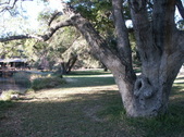 Enlarge photo 88