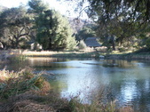 Enlarge photo 90