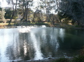 Enlarge photo 91