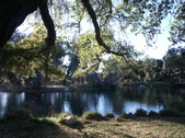 Enlarge photo 92