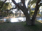 Enlarge photo 94