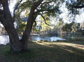 Enlarge photo 95