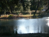 Enlarge photo 96