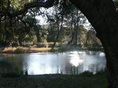Enlarge photo 97