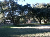 Enlarge photo 100
