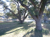 Enlarge photo 103