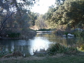 Enlarge photo 104