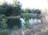 Enlarge photo 1