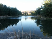 GOLDEN OAK RANCH 